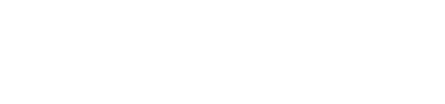 savvylogical-bd-logo-white